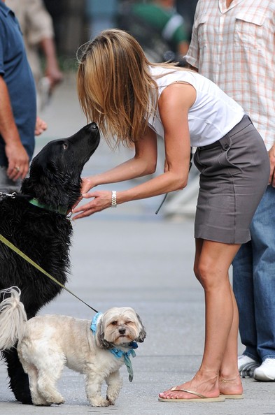 Jennifer Aniston mang hai chú cún cưng tới phim trường 'The Bounty'.